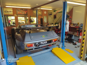 A Fantastic Lotus
