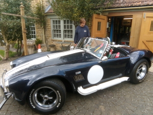 Sporty looking Cobra