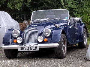 A Beautiful Morgan