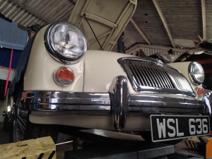 MGA