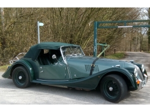 Beautiful green Morgan!