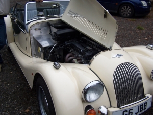 A white Morgan
